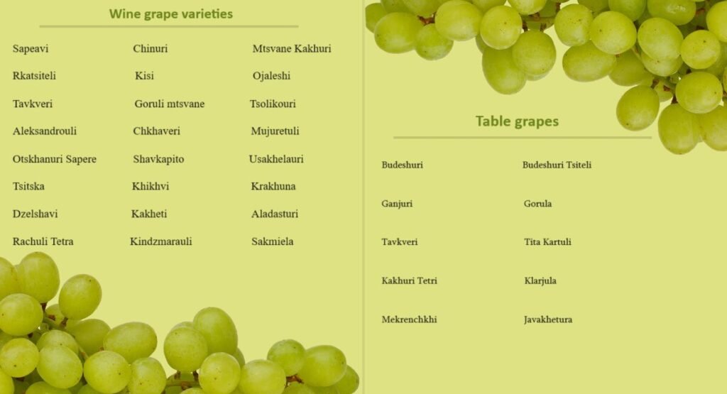 Georgian Grape Varieties