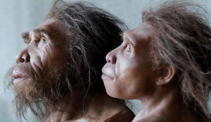 The first Europian hominids from Georgia. Zezva and Mzia